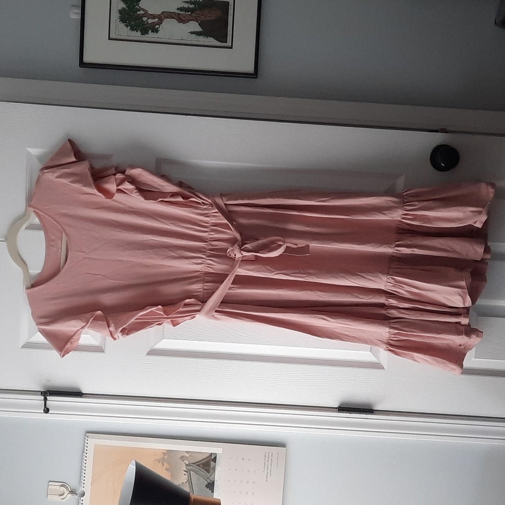 Elegantees Pink Ruffle Midi Dress XL